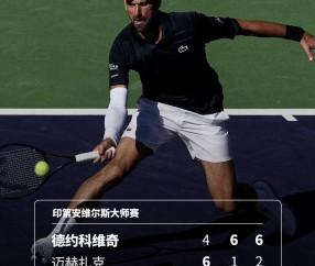 德约科维奇的动力之源：从家庭到球迷